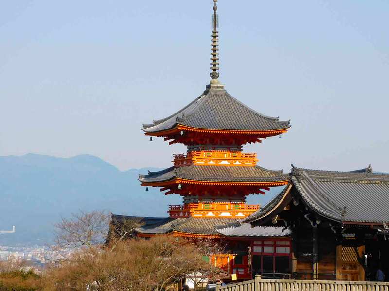 茶杓 清水寺重要文化財釈迦堂の古材 清水寺の観光、建造物 重要文化